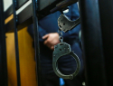 К 11 годам колонии строгого режима приговорили закладчика из Новохоперска