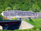 Катастрофическое сокращение численности населения Борисоглебского округа зафиксировала ИКВО