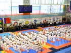 Каратистки школы «IRBIS BORISOGLEBSK» приняли участие в международном фестивале единоборств