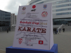Борисоглебские каратистки привезли медали с международного турнира