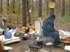 В лесу на окраине Борисоглебска поселился бездомный человек