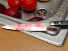 В Борисоглебске пьяный дядя ударил племянника кухонным ножом