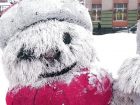 Пушистому снеговику в центральном сквере Борисоглебска оторвали нос