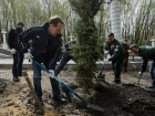 Губернатор Гордеев примерил куртку бойца студотряда и посадил дерево