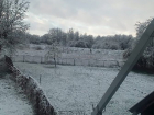  Луганск, Питер, Ростов и  даже Краснодар накрыло снегом: ждем и в Воронежской области? 