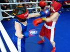 "Первый бой - он трудный самый": юные боксеры Борисоглебска встретились в ринге с соперниками из Волгоградской области