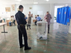 Залившая зелёнкой урну на президентских выборах в Борисоглебске «диверсантка» предстанет перед судом