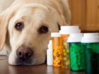 В Бутурлиновском районе прокуратура выявила нарушения при продаже лекарств для животных