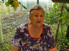 Мошенники навязали пенсионерке из Борисоглебска «чудо-аппарат» от всех болезней
