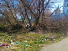 Места в Борисоглебске, где субботником и «не пахло»