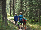 В Воронежской области трое детей заблудились в лесу: помог лесничий