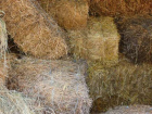 В Бутурлиновке тракторист украл  у фермера 200 тюков соломы