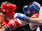 Борисоглебские «единороссы» проведут в городе межрегиональный турнир по боксу