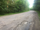 Жители двух сел Борисоглебского округа  просят губернатора  сделать дорогу