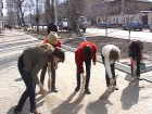 «Месячник благоустройства» в Борисоглебске объявили на месяц раньше