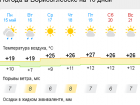  Летняя жара придет в Борисоглебск во второй половине текущей недели