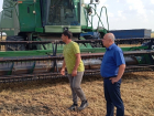 Хорошие фермеры работают в Терновке 