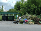 Воронежская область оказалась в числе самых «замусоренных» регионов