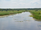 В Воронежской области отметят границы водоохранных зон и прибрежных защитных полос рек