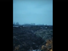 Заваленный навозом  живописный уголок Черноземья попал в поле зрения СК РФ