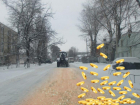 Зимние дороги в Борисоглебске посыпают «золотым песком» ? 