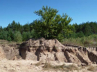 Незаконный карьер по добыче песка обнаружен в одном из сел Борисоглебского района