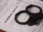 Борисоглебск вошел в число районов с самым низким процентом раскрываемости преступлений