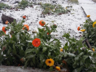 «Зимы ждала, ждала природа…»: главный метеоролог Воронежской области дал прогноз на первый снег