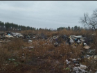 Свалку на площади в 5000 квадратных метров потребовал убрать прокурор Грибановского района 
