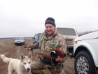 Первые испытания по добыче  фазана прошли в Воронежской области