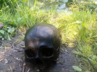 В районе Черемушки г. Борисоглебска нашли череп 