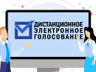 Впервые на выборах в Воронежской области будет применено дистанционное электронное голосование