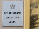 Дополнительные меры соцподдержки многодетных анонсировали в Воронежской области