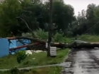 Деревья падали на машины: мощный  ураган прошелся по столице Воронежской области