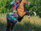 Борисоглебцев приглашают на костюмированные соревнования в конно-спортивную школу