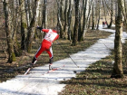 Снег «растаял неожиданно»: в Борисоглебске отменили открытие лыжного сезона 26 декабря
