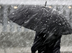 Дожди со снегом придут в Борисоглебск в начале новой рабочей недели