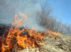 Особый противопожарный режим в Воронежской области могут ввести раньше обычного