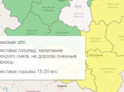 Желтый уровень опасности снова объявили в Воронежской области из-за снежных заносов и сильного ветра