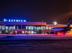 У Воронежского аэропорта хотят отобрать имя Петра I