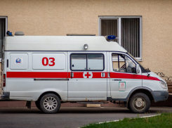 Десять больных сибирской язвой жителей Воронежской области пошли на поправку 