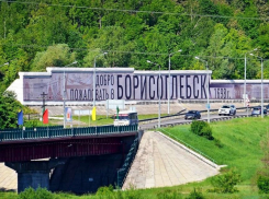 За последние 8 лет количество совершеннолетних экономически активных жителей в Борисоглебском округе сократилось на 11%