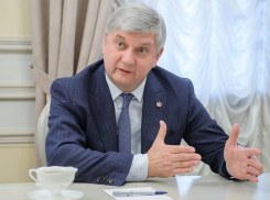 Больше половины денег, собранных для бойцов, правительство Воронежской области потратило на другие нужды