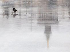 Из-за  резкого потепления в Воронежской области тают катки