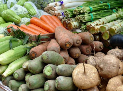 Отсутствие документов и повышенные нитраты: три тонны сомнительных продуктов изъяли у продавцов в регионе