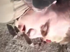 Опубликовано видео задержания солдата, расстрелявшего сослуживцев в Воронеже