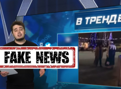  Дед Мороз из Борисоглебска попал в фейковые новости украинской пропаганды