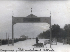 Хоперскому государственному природному заповеднику исполнилось 85 лет