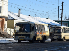 Борисоглебцы могут оценить работу общественного транспорта 