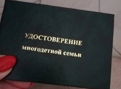 Выдачу удостоверений многодетной семьи в Воронежской области ускорили вдвое